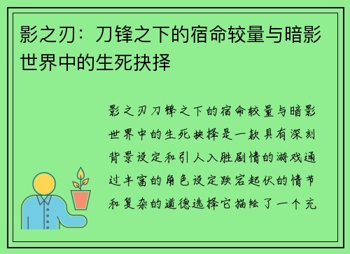 影之刃：刀锋之下的宿命较量与暗影世界中的生死抉择